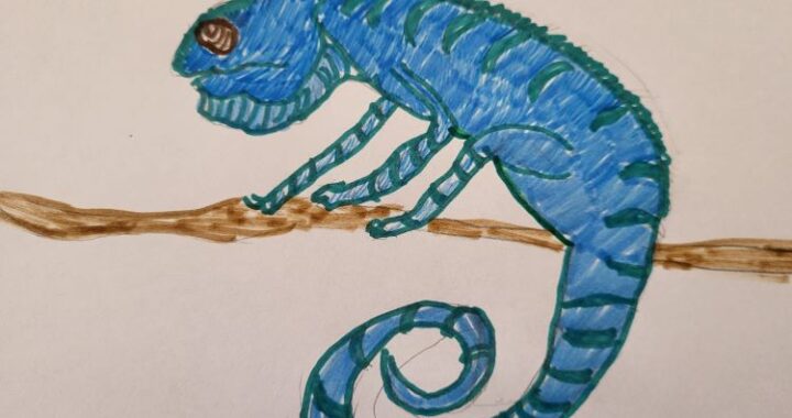 aardig gevonden willen worden, grenzen stellen, assertiviteit