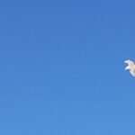 irritante collega's, samenwerken, communiceren met collega's