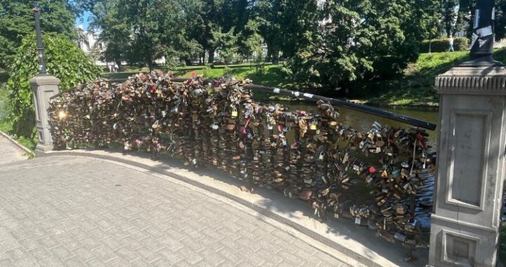 vpor -en nadelen leidinggeven
