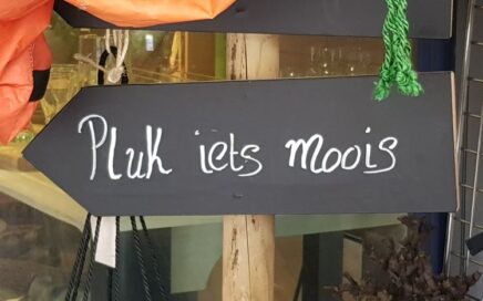 leidinggeven, doelgericht leidinggeven, leidinggevende