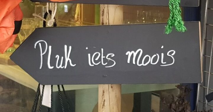 leidinggeven, doelgericht leidinggeven, leidinggevende