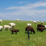 Meer onderlinge verbinding op de werkvloer