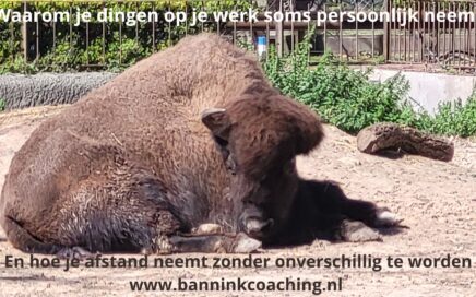 zaken minder persoonlijk nemen zonder onverschillig worden als je het gevoel hebt persoonlijk aangevallen te voelen